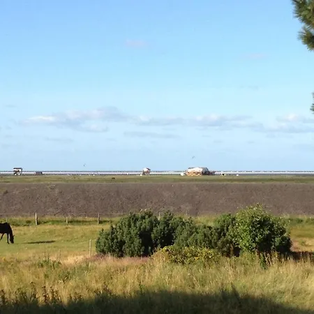 Weisses Duenenhaus Mit Meerblick